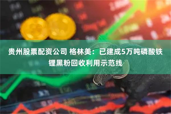 贵州股票配资公司 格林美：已建成5万吨磷酸铁锂黑粉回收利用示范线
