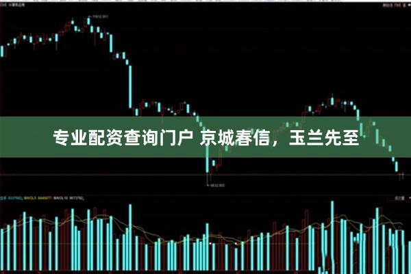 专业配资查询门户 京城春信,玉兰先至